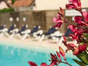 piscine et fleurs