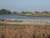 reserve ornithologique du teich hotel arcachon