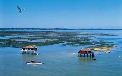 Balade en Bateau sur le Bassin d'Arcachon 