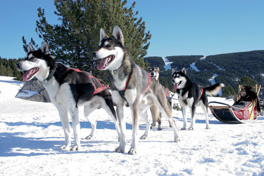 Activités inédites en montagne 